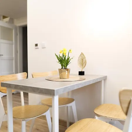 Apartment Cracwow Saint Sebastian Krakau